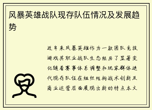 风暴英雄战队现存队伍情况及发展趋势